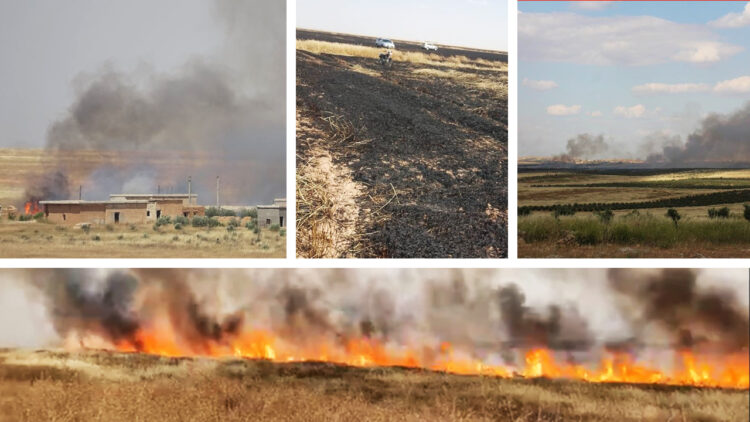 Turkish shelling leads to widespread crop destruction in North and East Syria