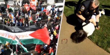 US: Professors, 2400 students arrested for speaking out on Israel-Palestine