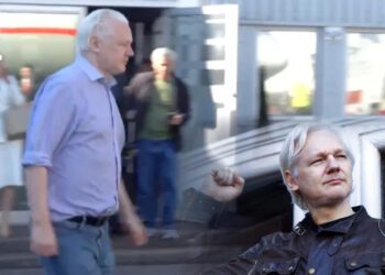 Julian Assange released after US plea deal, returns to Australia