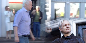 Julian Assange released after US plea deal, returns to Australia