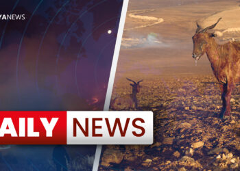 Daily News : 21 June 2024