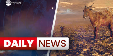Daily News : 21 June 2024