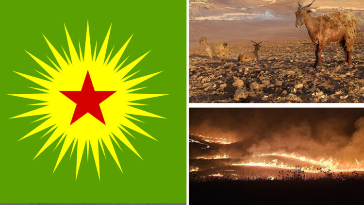 KCK calls for Kurdish self-organisation and solidarity in response to devastating fire in Turkey