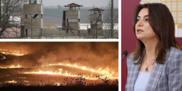 Gülistan Koçyiğit slams Turkish government’s responses to wildfires, prisoner deaths