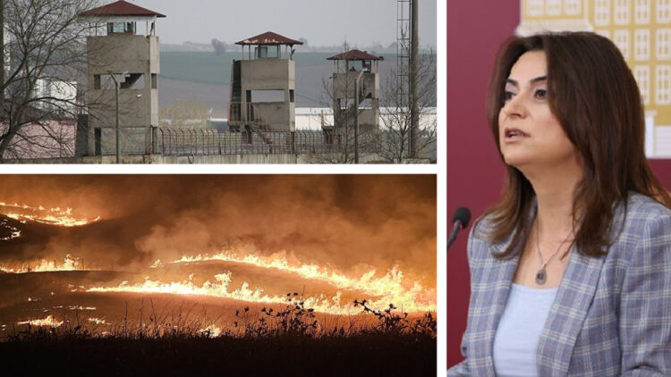 Gülistan Koçyiğit slams Turkish government’s responses to wildfires, prisoner deaths