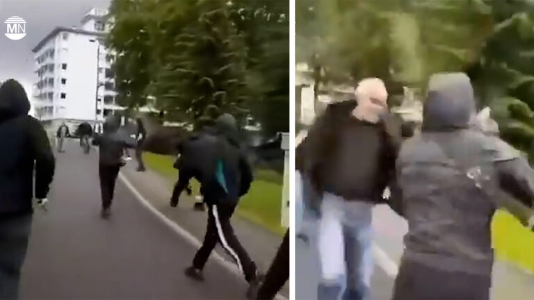 Fascist mob attacks peaceful Kurdish Free Öcalan Vigil in France