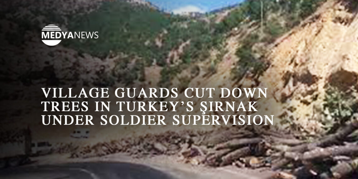 Village guards cut down trees in Turkey’s Şırnak under soldier supervision