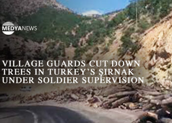 Village guards cut down trees in Turkey’s Şırnak under soldier supervision