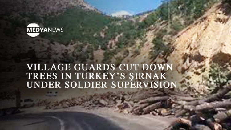 Village guards cut down trees in Turkey’s Şırnak under soldier supervision