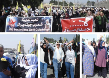 Hundreds protest against arrest of Colemêrg’s co-mayor and appointment of state trustee