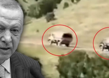 New signs of imminent Turkish incursion in Iraqi Kurdistan