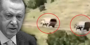 New signs of imminent Turkish incursion in Iraqi Kurdistan