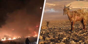 Turkish state officials late to react to large fires raging between Mardin and Diyarbakır