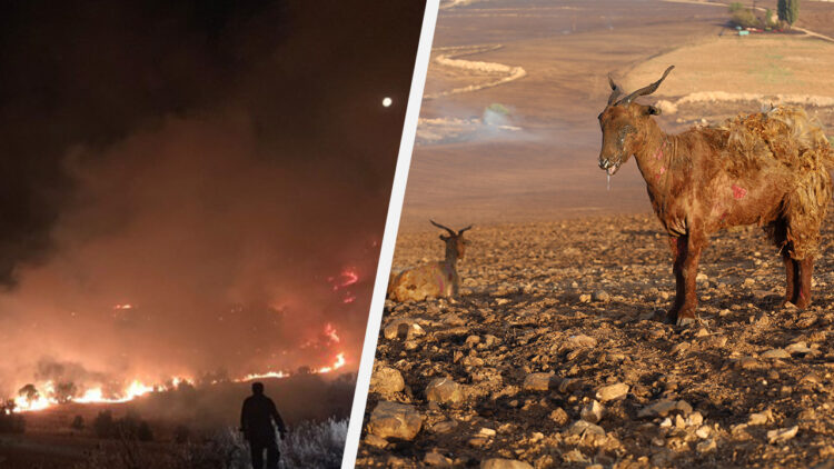Turkish state officials late to react to large fires raging between Mardin and Diyarbakır