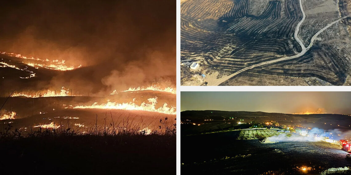 Turkey wildfire: government accused of criminal negligence