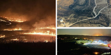 Turkey wildfire: government accused of criminal negligence