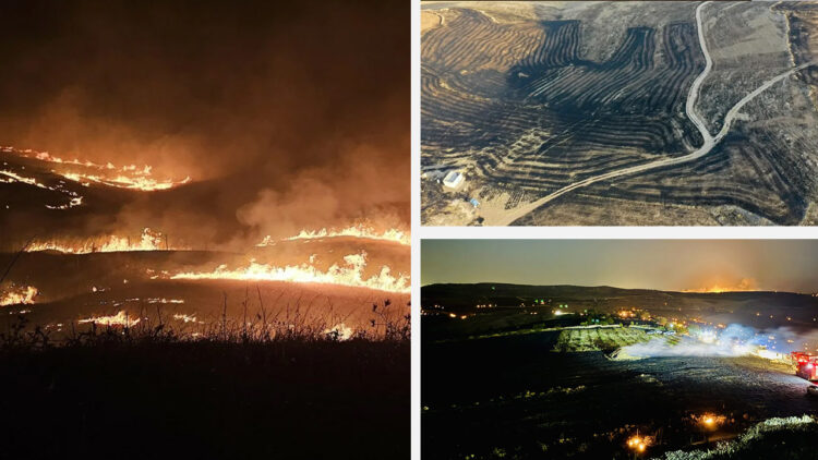 Turkey wildfire: government accused of criminal negligence