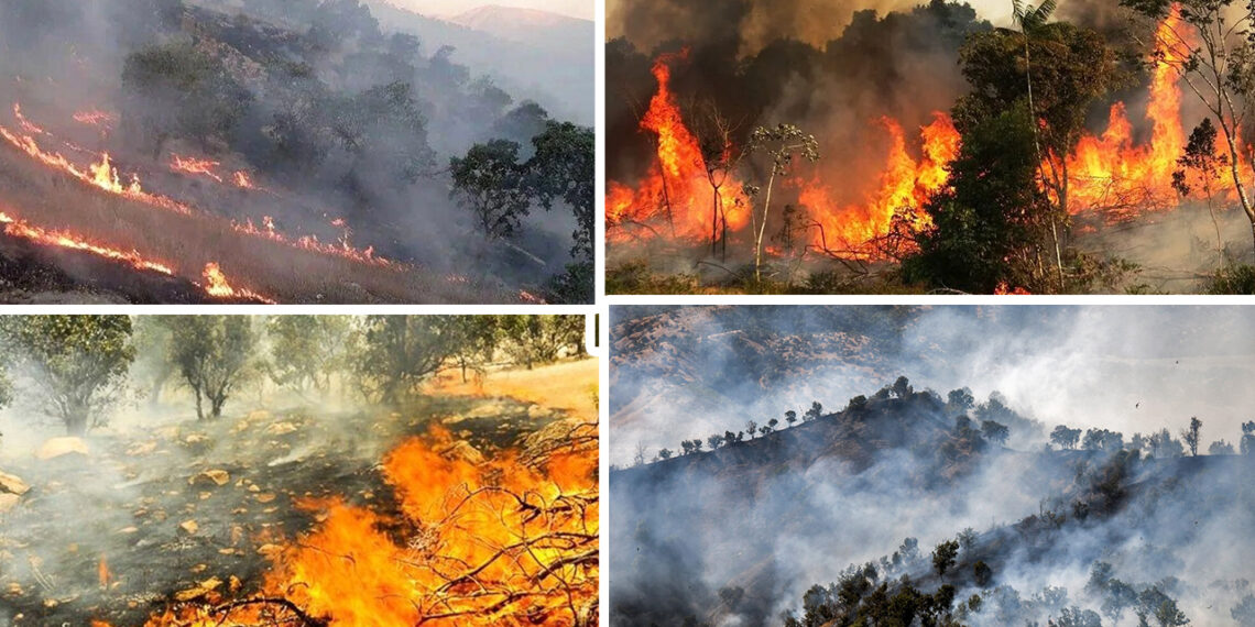 Zagros forests under siege by wildfires in Eastern Kurdistan