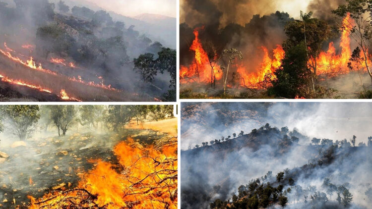 Zagros forests under siege by wildfires in Eastern Kurdistan