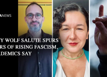 Grey wolf salute spurs fears of rising fascism, say academics