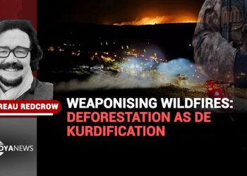 Weaponising wildfires: Deforestation as De-Kurdification