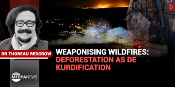 Weaponising wildfires: Deforestation as De-Kurdification