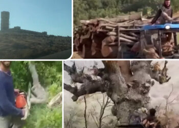 Ecocide in Kurdish regions of Turkey as green landscapes give way to concrete military outposts