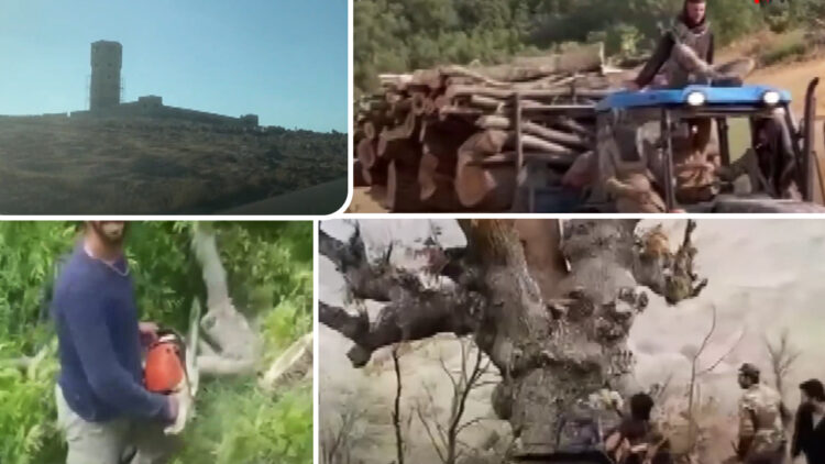 Ecocide in Kurdish regions of Turkey as green landscapes give way to concrete military outposts