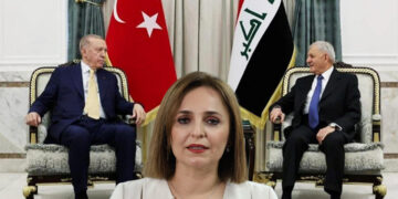 DEM Party’s Doğan: “Turkey needs a democracy movement, not more military bases”