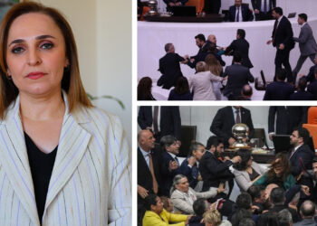 DEM’s Ayşegül Doğan condemns violence in Turkish parliament: “Political thuggery must end”