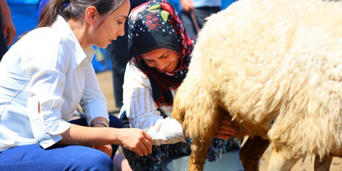 DEM’s ‘Bread and Justice’ campaign fights inequality in Turkey