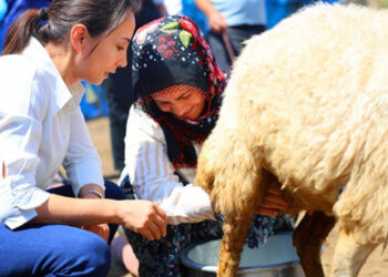 DEM’s ‘Bread and Justice’ campaign fights inequality in Turkey