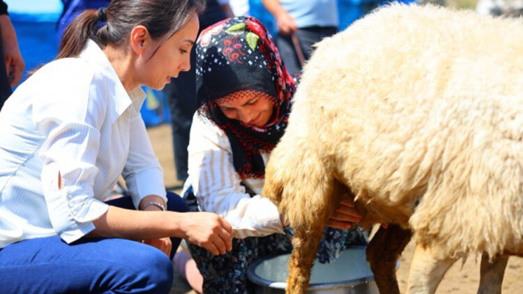 DEM’s ‘Bread and Justice’ campaign fights inequality in Turkey