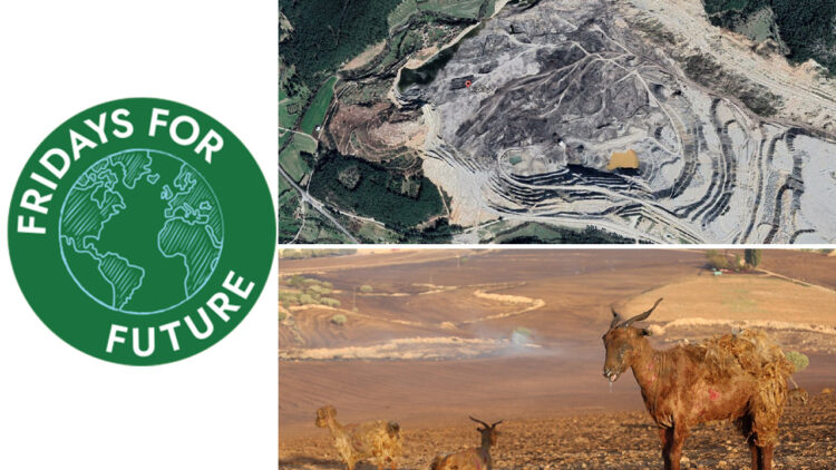 Friday for Future condemns Turkish government for ecocide in Fertile Crescent