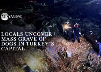 Locals uncover mass grave of dogs in Turkey’s capital