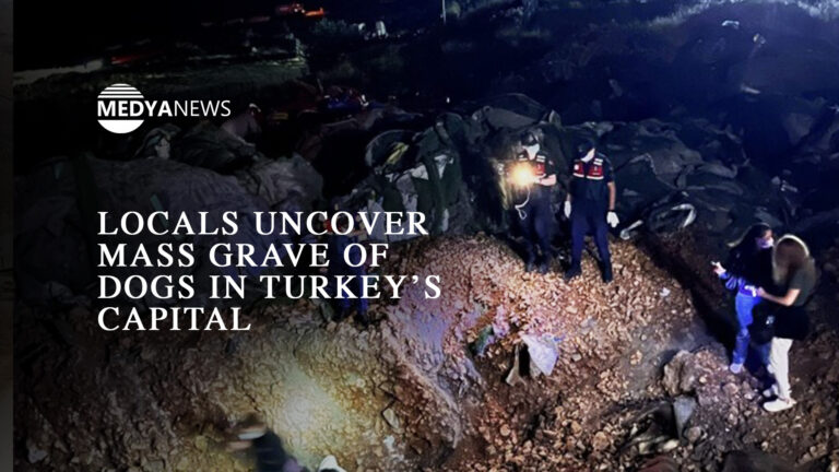 Locals uncover mass grave of dogs in Turkey’s capital