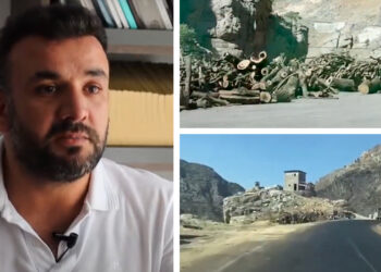 Environmentalists plan campaign to halt extractivism-induced deforestation in Turkey’s Şırnak