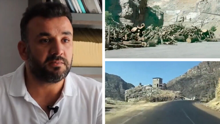 Environmentalists plan campaign to halt extractivism-induced deforestation in Turkey’s Şırnak