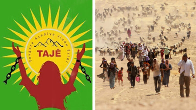 Yazidi women’s organisation prepares report for KDP responsibility over 2014 genocide
