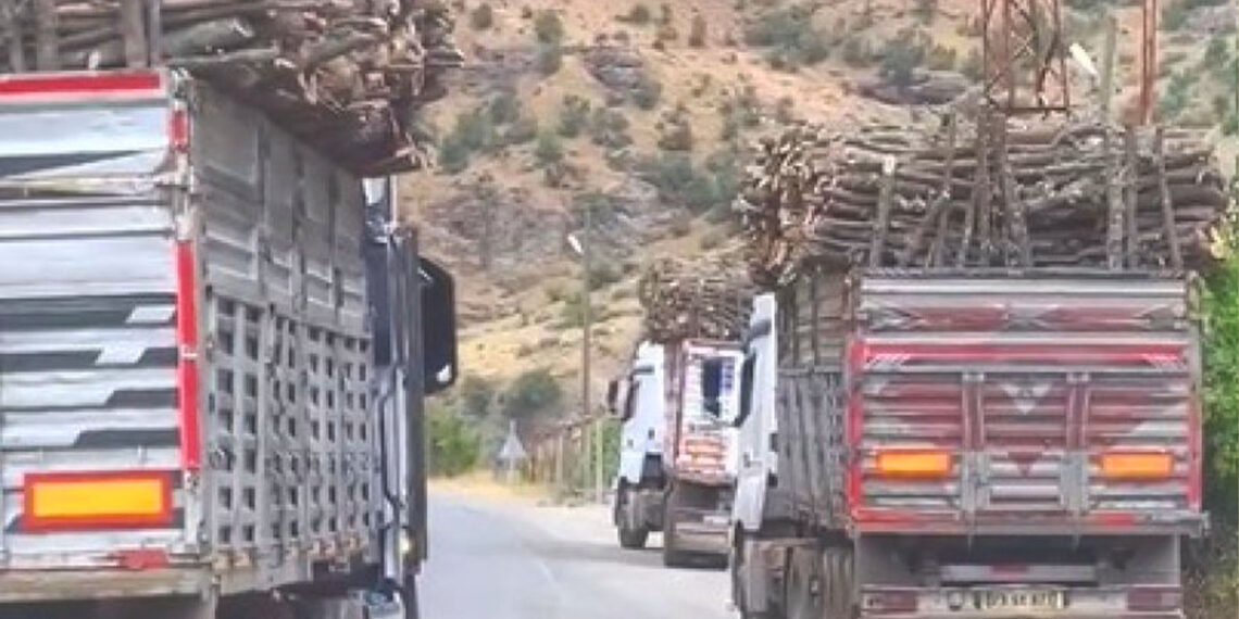 Turkish forces accused of illegal deforestation in Iraqi Kurdistan