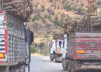 Turkish forces accused of illegal deforestation in Iraqi Kurdistan