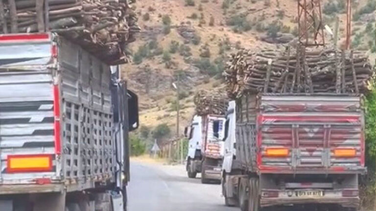 Turkish forces accused of illegal deforestation in Iraqi Kurdistan