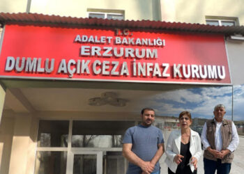 Kurdish MP exposes severe solitary confinement and health issues in Turkish prison