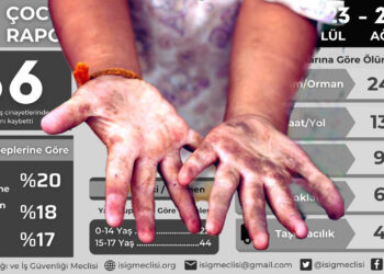 Report highlights child labour deaths in Turkey: Government’s MESEM vocational training programme criticised
