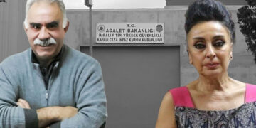Keskin urges action on Kurdish issue through Justice Initiative Against Isolation