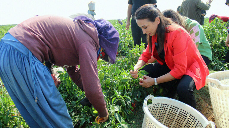 Systemic failures force Turkey’s farmers into poverty: DEM Party pledges action