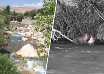 Opposition grows to hydroelectric project on Tağar Stream