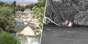 Opposition grows to hydroelectric project on Tağar Stream