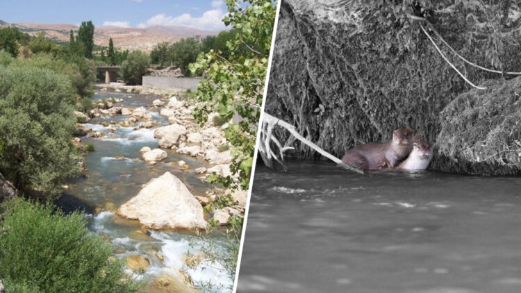 Opposition grows to hydroelectric project on Tağar Stream