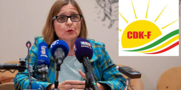 French senator calls for renewed Turkey-Kurdish dialogue, amid Turkish strikes on Rojava